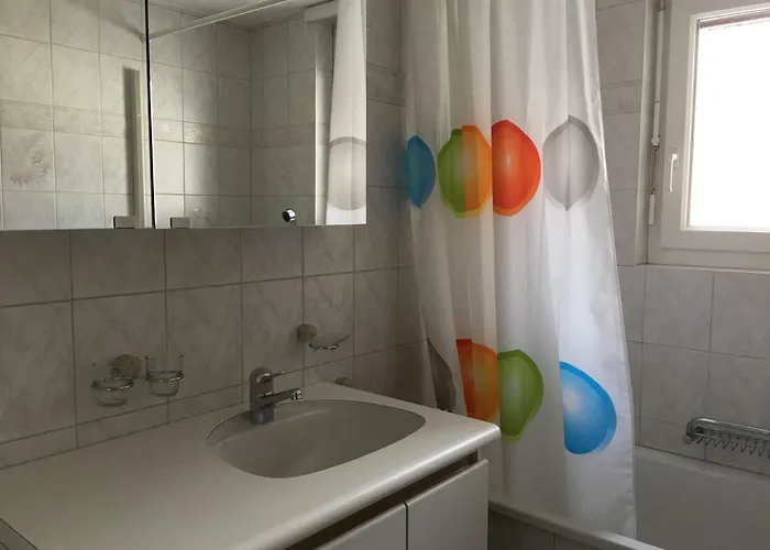 Haus Colmar 公寓 *